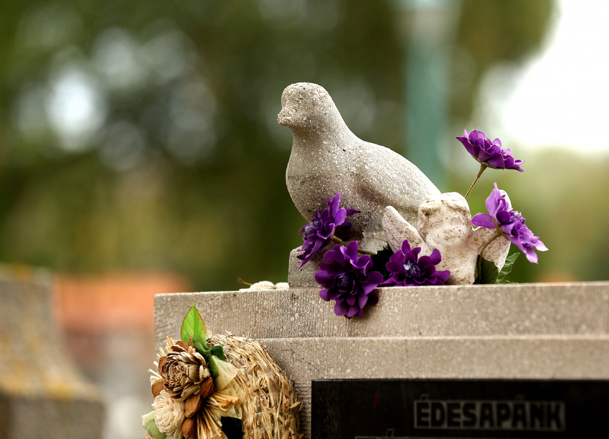 Szeged, temető, halottak napja, mécses, virág, koszorú, Belvárosi temető, megemlékezés