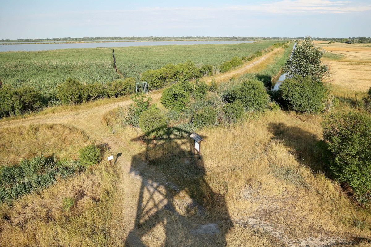 Sándorfalva, madárgyűrűzés, Sándorfalvi Szalakóta Látogatóközpont, természet, madár